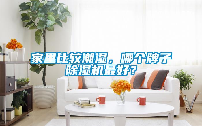 家里比較潮濕，哪個牌子除濕機最好？
