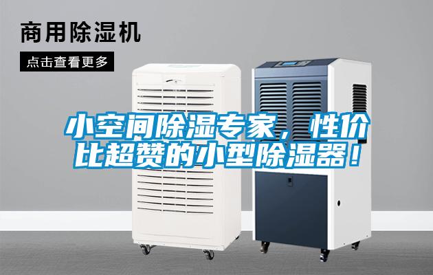 小空間除濕專家，性價比超贊的小型除濕器！