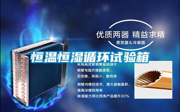 恒溫恒濕循環試驗箱