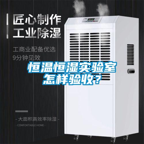 恒溫恒濕實驗室怎樣驗收?