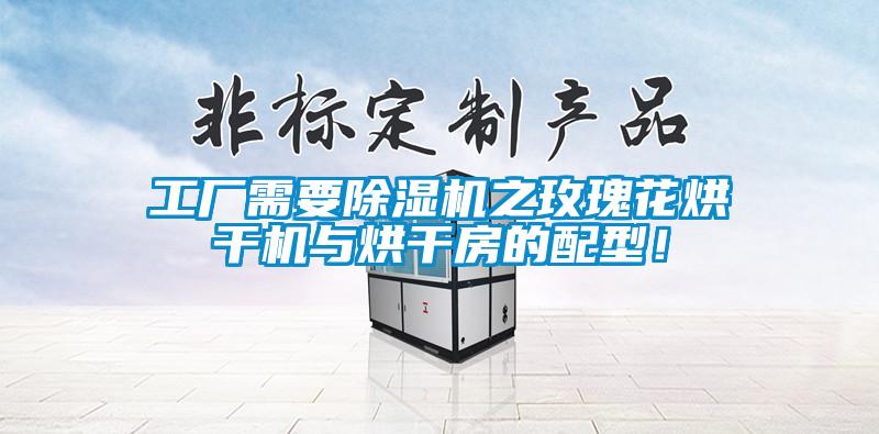 工廠需要除濕機之玫瑰花烘干機與烘干房的配型！