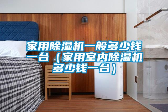 家用除濕機一般多少錢一臺（家用室內除濕機多少錢一臺）