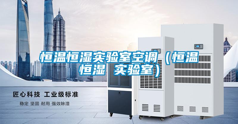 恒溫恒濕實驗室空調(恒溫恒濕 實驗室)