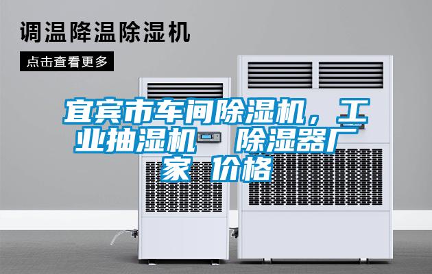 宜賓市車間除濕機，工業(yè)抽濕機  除濕器廠家 價格