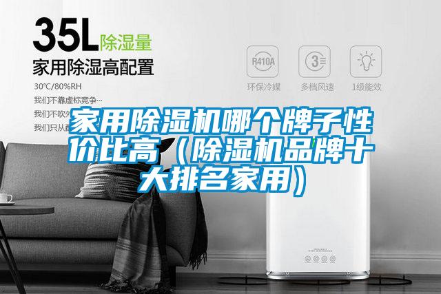 家用除濕機哪個牌子性價比高(除濕機品牌十大排名家用)