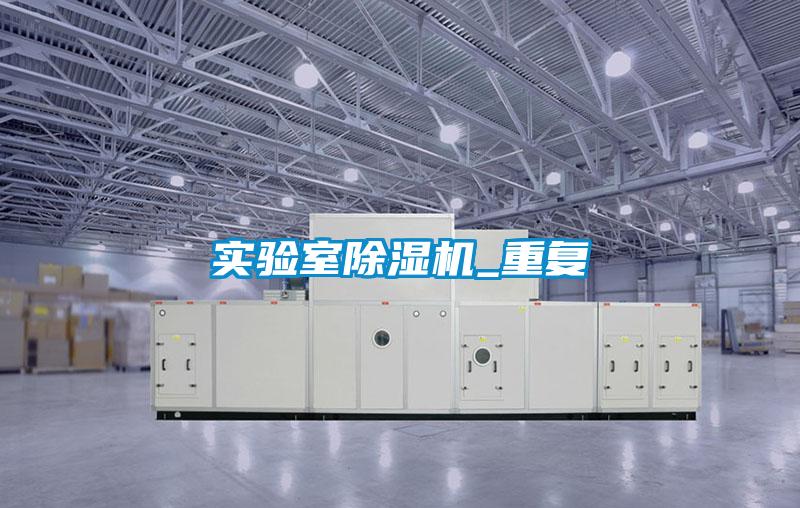 實驗室除濕機_重復