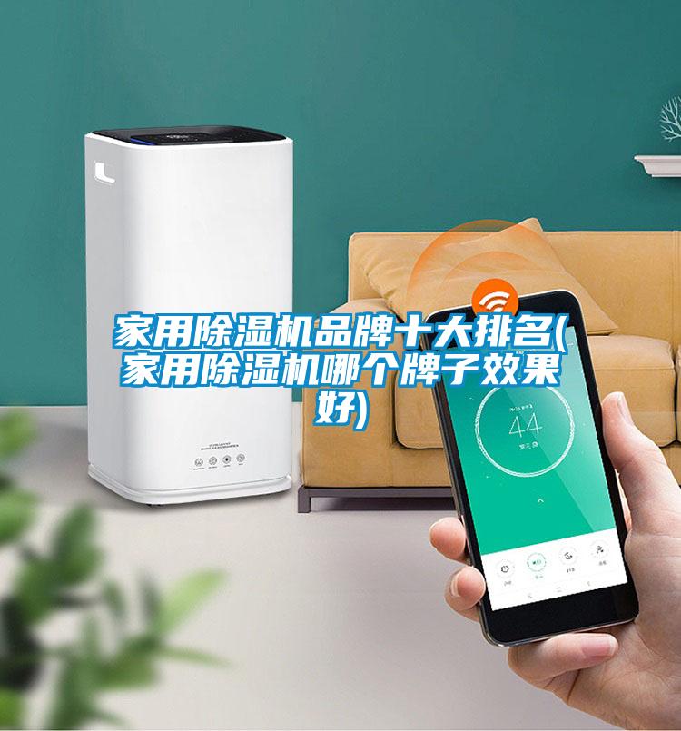 家用除濕機(jī)品牌十大排名(家用除濕機(jī)哪個牌子效果好)