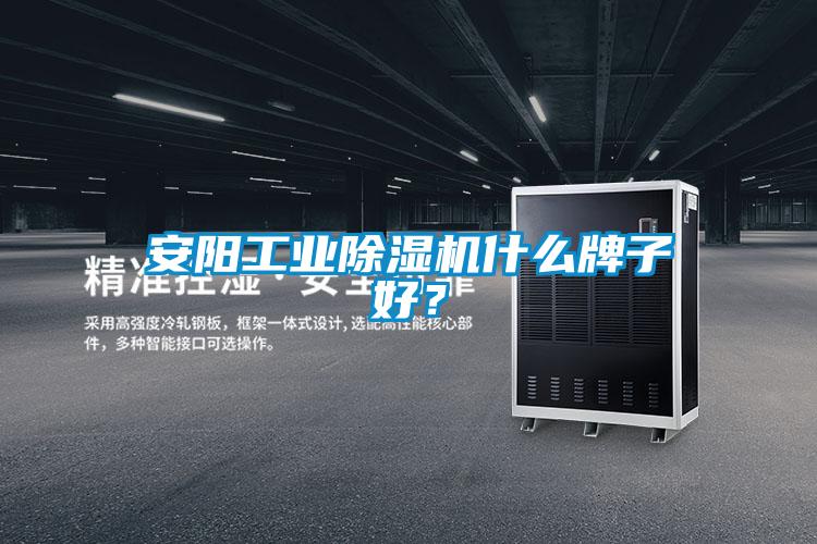 安陽工業除濕機什么牌子好？