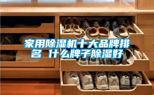 家用除濕機(jī)十大品牌排名 什么牌子除濕好