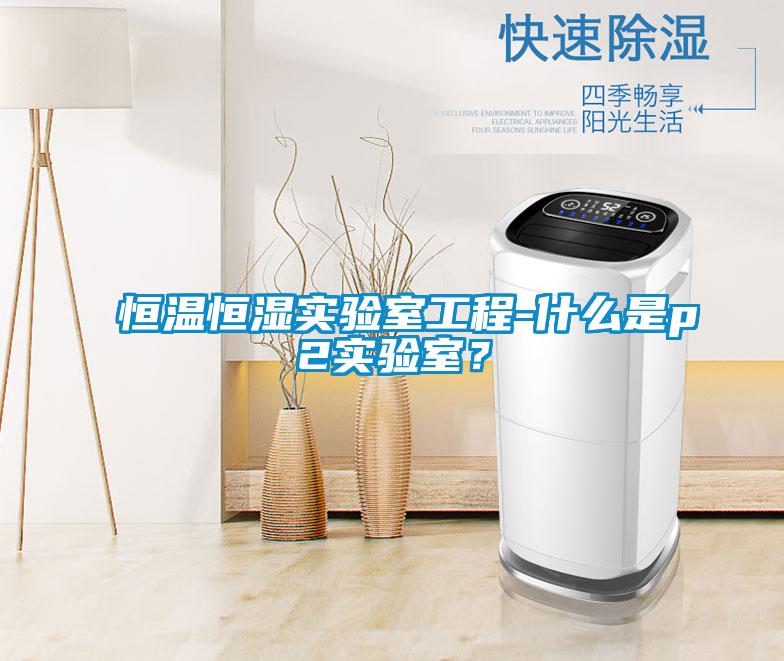 恒溫恒濕實驗室工程-什么是p2實驗室？