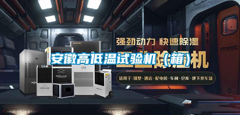 安徽高低溫試驗機（箱）