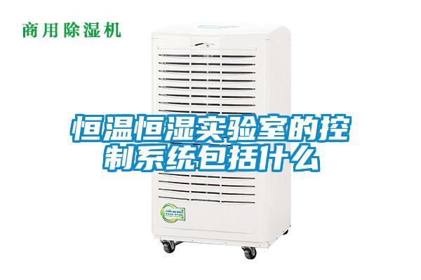 恒溫恒濕實驗室的控制系統包括什么