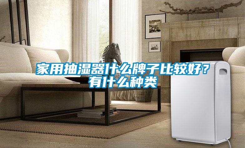 家用抽濕器什么牌子比較好？有什么種類(lèi)
