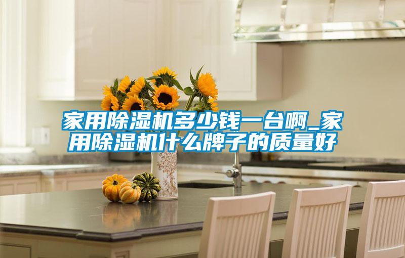 家用除濕機(jī)多少錢一臺啊_家用除濕機(jī)什么牌子的質(zhì)量好