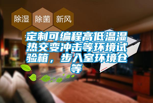 定制可編程高低溫濕熱交變沖擊等環境試驗箱，步入室環境倉等