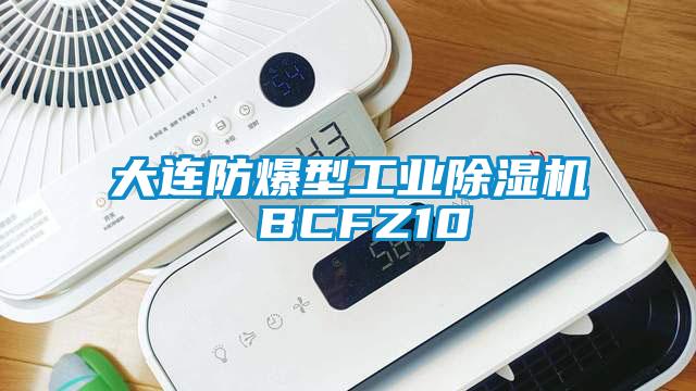 大連防爆型工業除濕機 BCFZ10