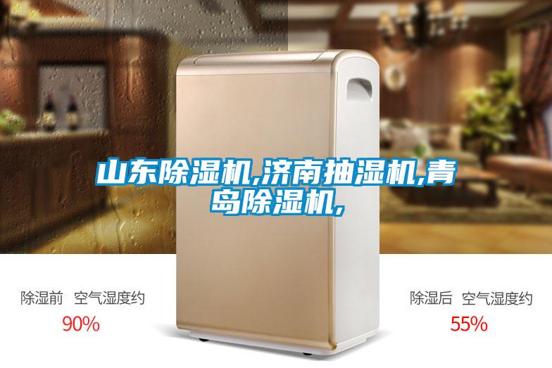 山東除濕機,濟南抽濕機,青島除濕機,