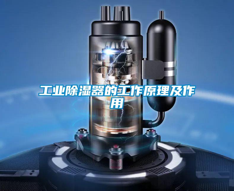 工業除濕器的工作原理及作用