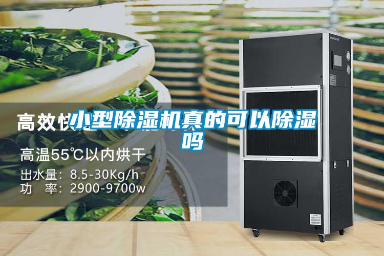 小型除濕機(jī)真的可以除濕嗎